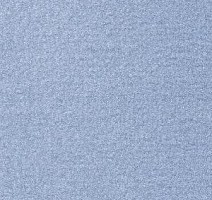 Ковролин Radici Oceania Denim 2429 фото 1 | FLOORDEALER